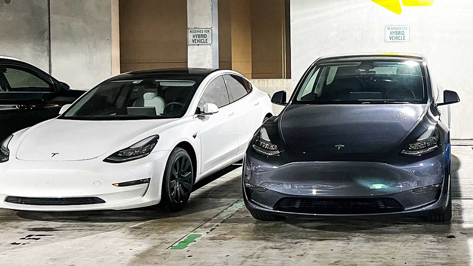 Tesla Now Selling Model 3 and Model Y Wraps for $7500-8000