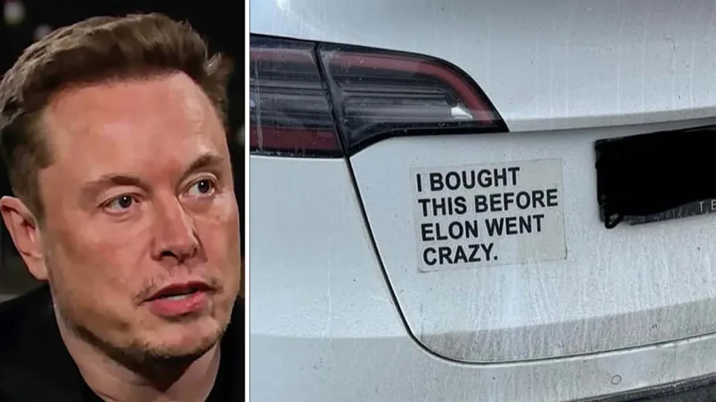 Experten om Teslaskam: ”Bilägare vill inte få pikar”