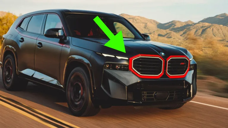 BMW grill kritik