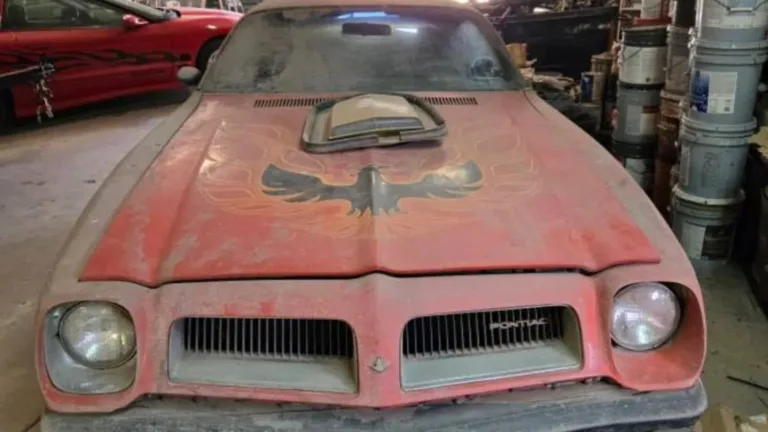 Pontiac bilfynd
