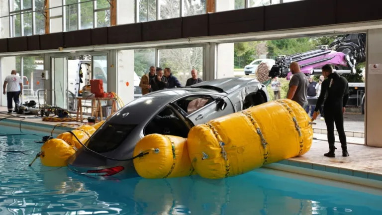 Jaguar i simbassäng