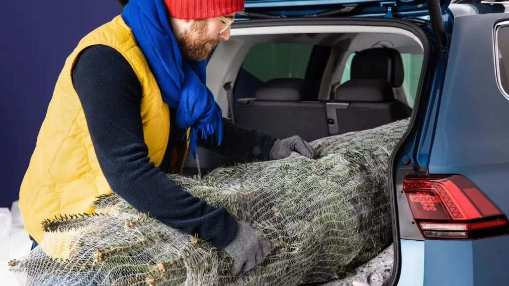 Transportera julgran tips