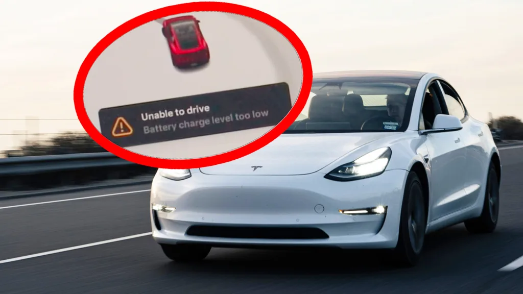 Tesla dog – går det lita på bilens räckviddsmätare?