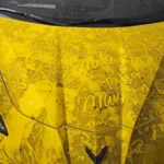 Corvette C8