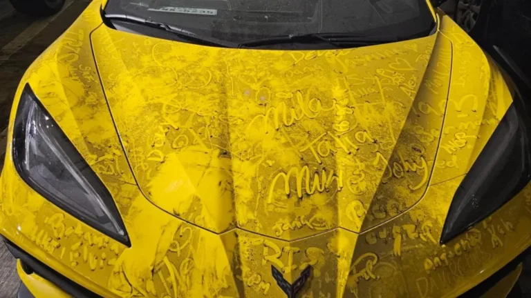 Corvette C8