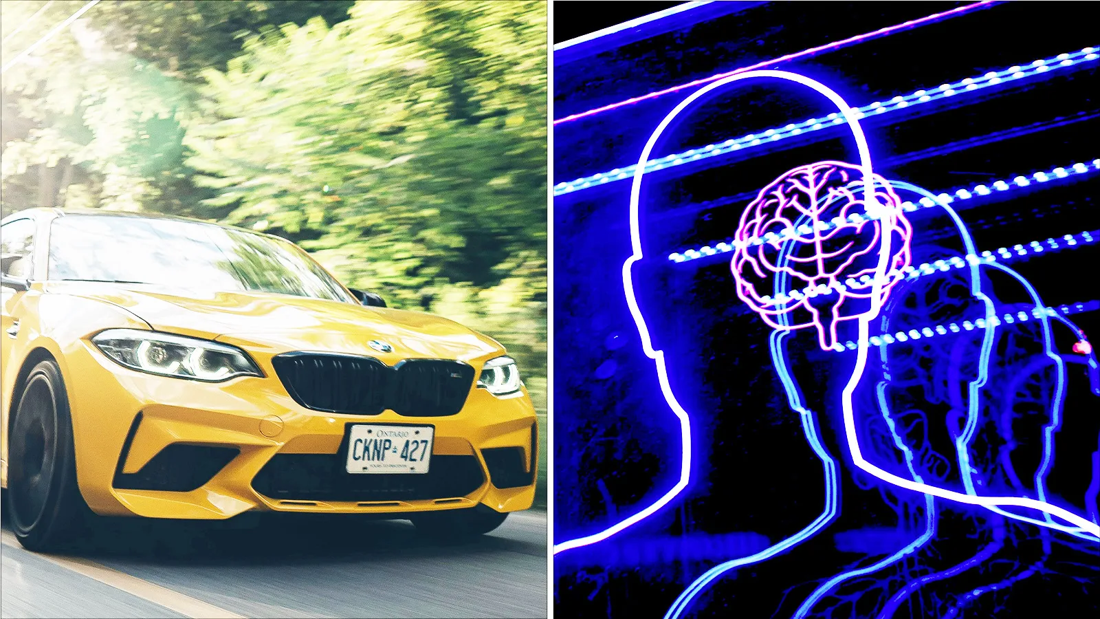 Bil, färg och bränsle kan avslöja din IQ
