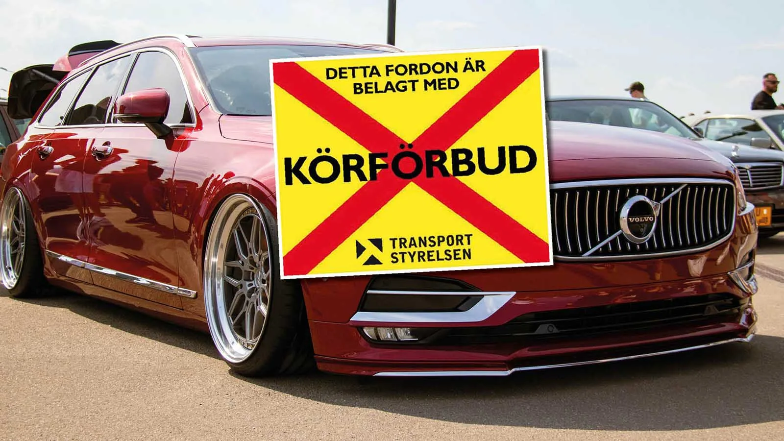 Sommarplågan som ger körförbud direkt